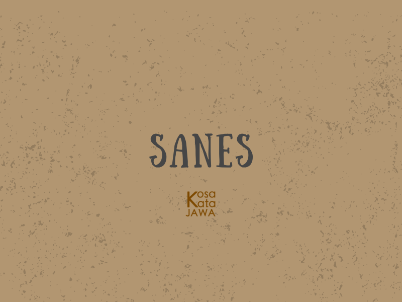 Sanes artinya