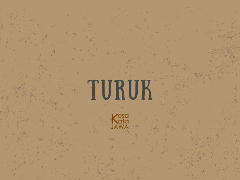 Turuk artinya