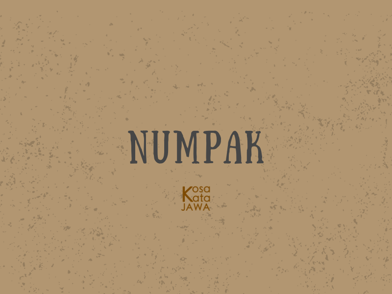 Numpak artinya