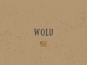 WOLU BERAPA visual data 5