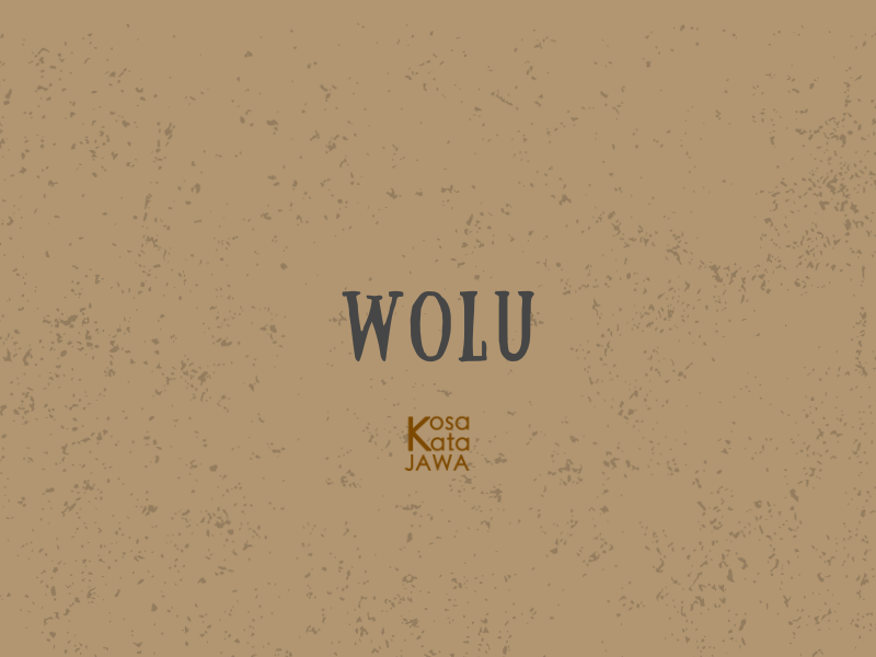 Wolu artinya