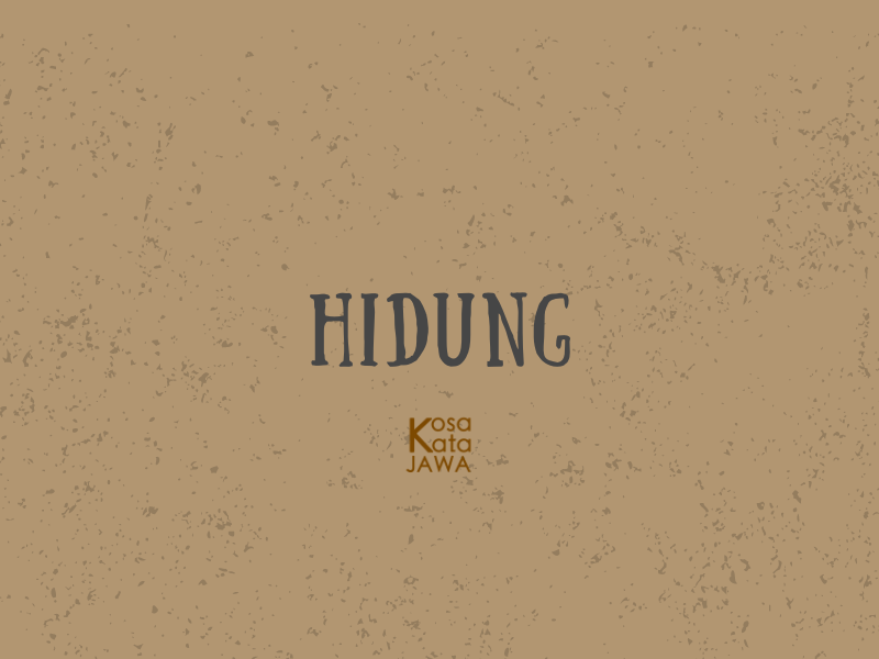 Bahasa jawanya hidung