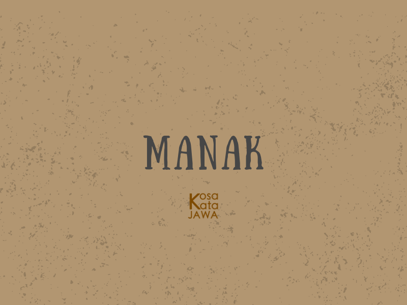 Manak artinya