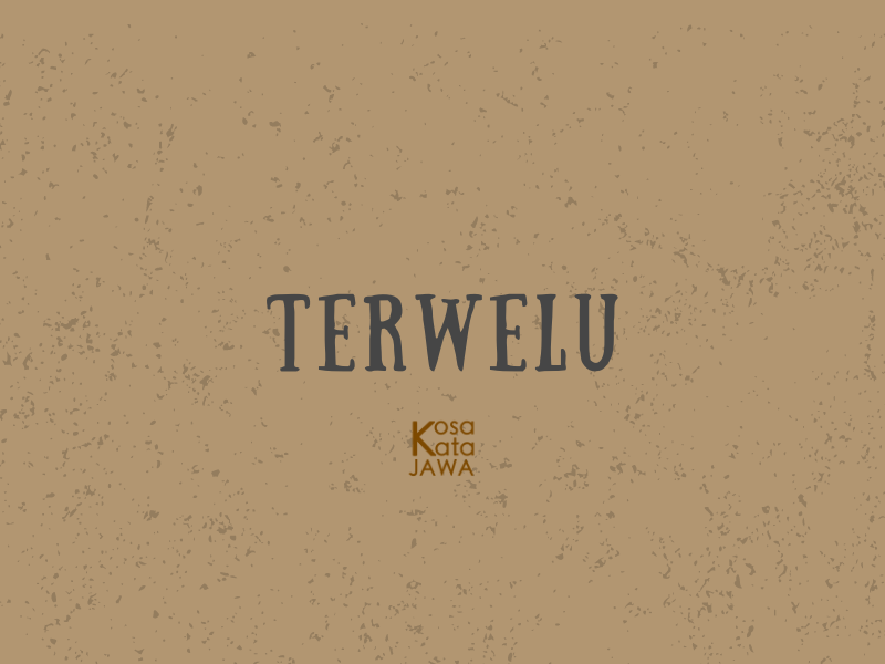 Terwelu artinya