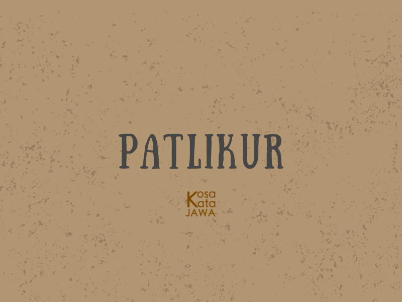 Patlikur artinya