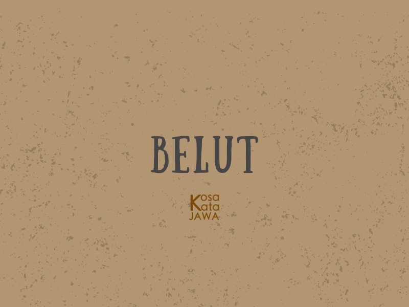 Bahasa jawanya belut