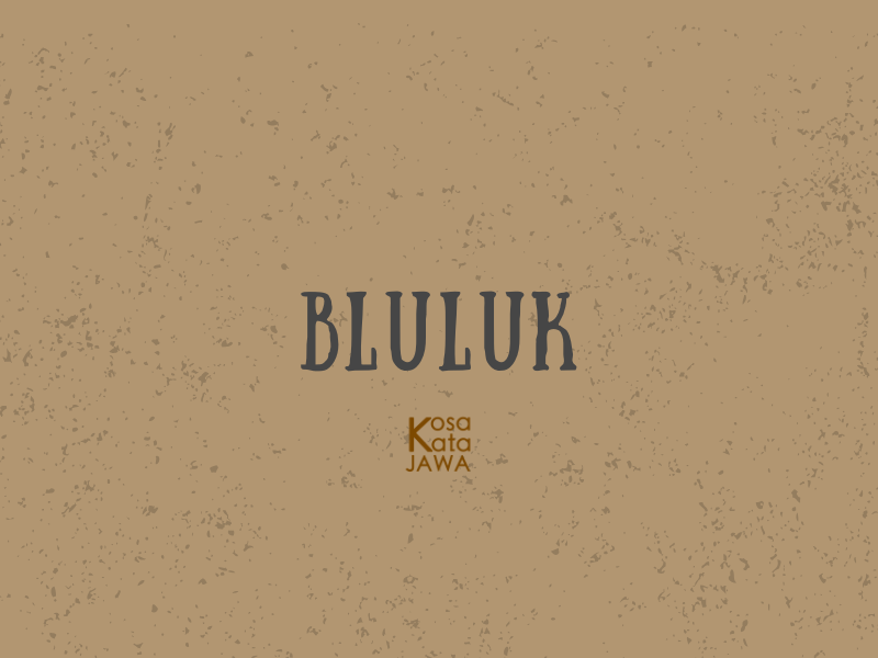 Bluluk artinya