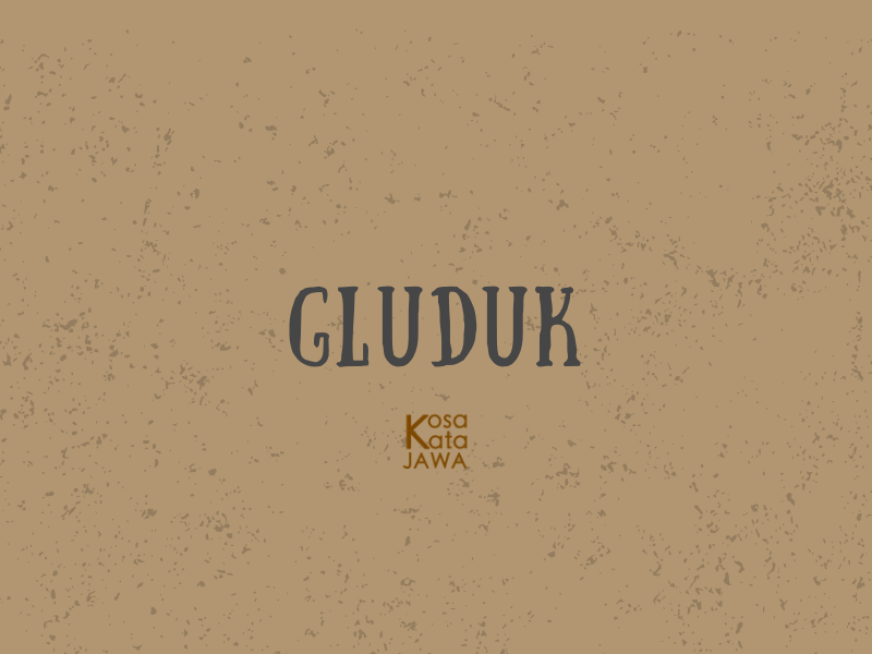 Gluduk artinya