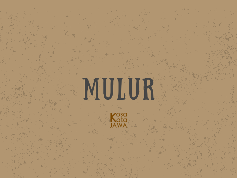 Mulur artinya