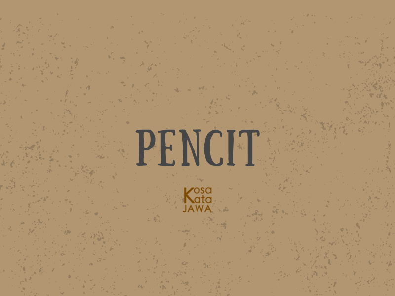 Pencit artinya