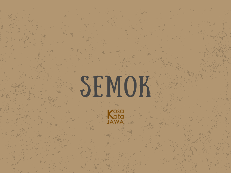Semok artinya