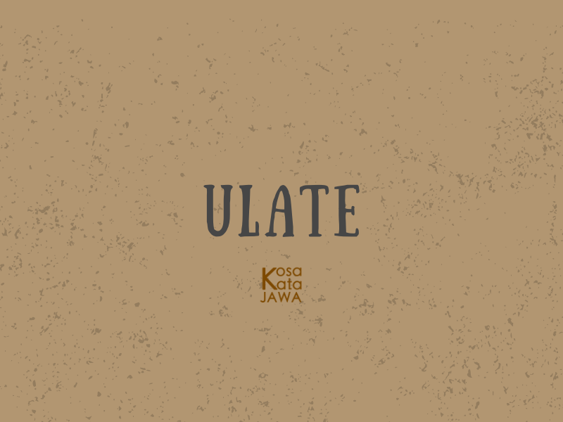 Ulate artinya