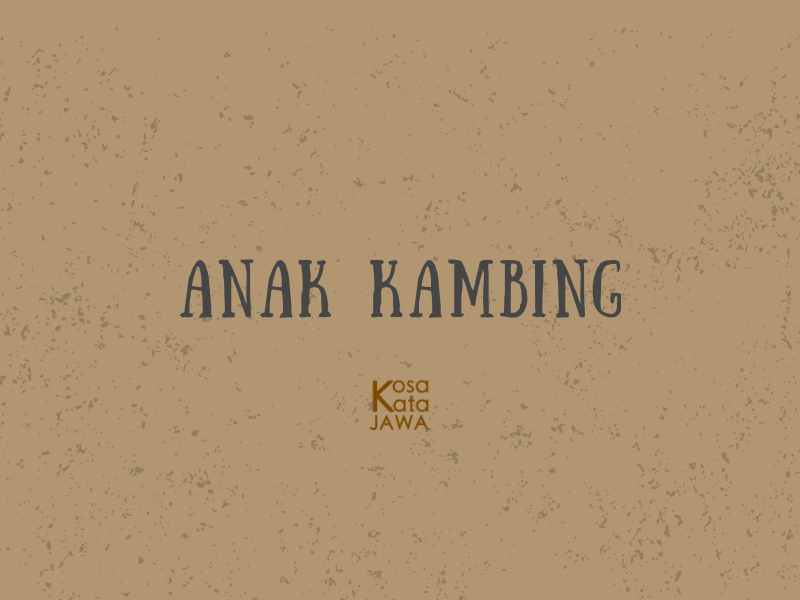 Bahasa jawanya anak kambing
