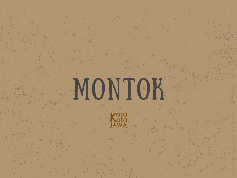 Bahasa jawanya montok