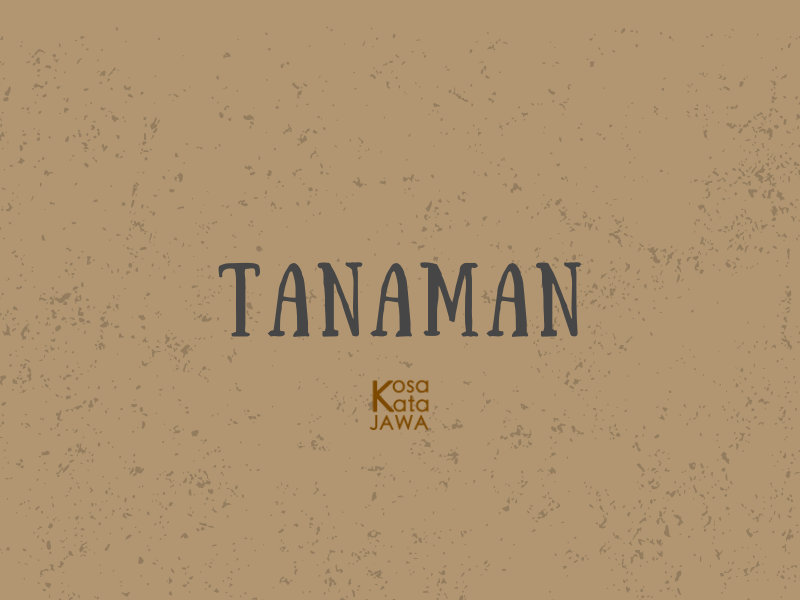 Bahasa jawanya tanaman