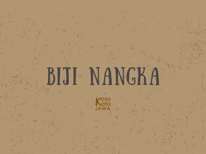 Bahasa jawanya biji nangka