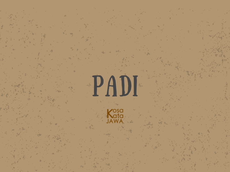 Bahasa jawanya padi