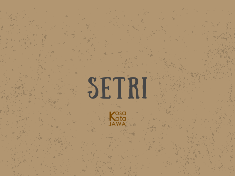 Setri artinya