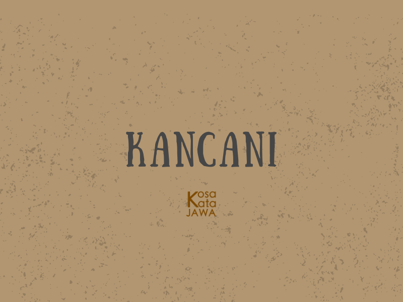 Kancani artinya