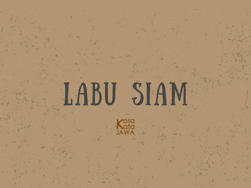 Bahasa jawanya labu siam