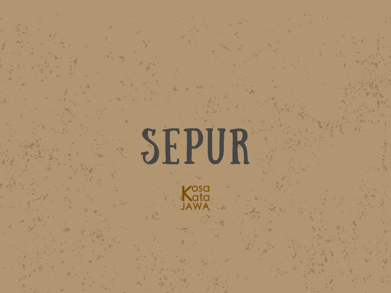Sepur artinya