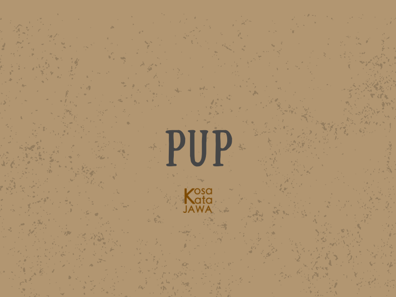 Bahasa jawanya pup