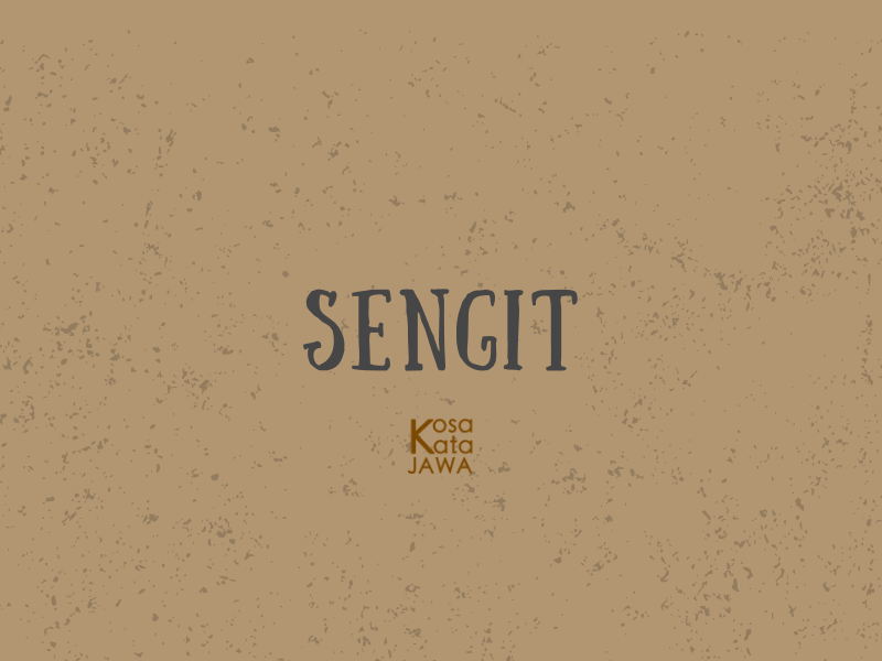 Sengit artinya