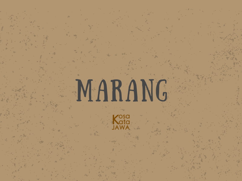 Marang artinya