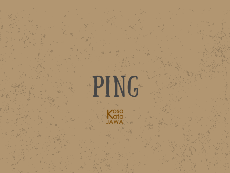 Ping artinya